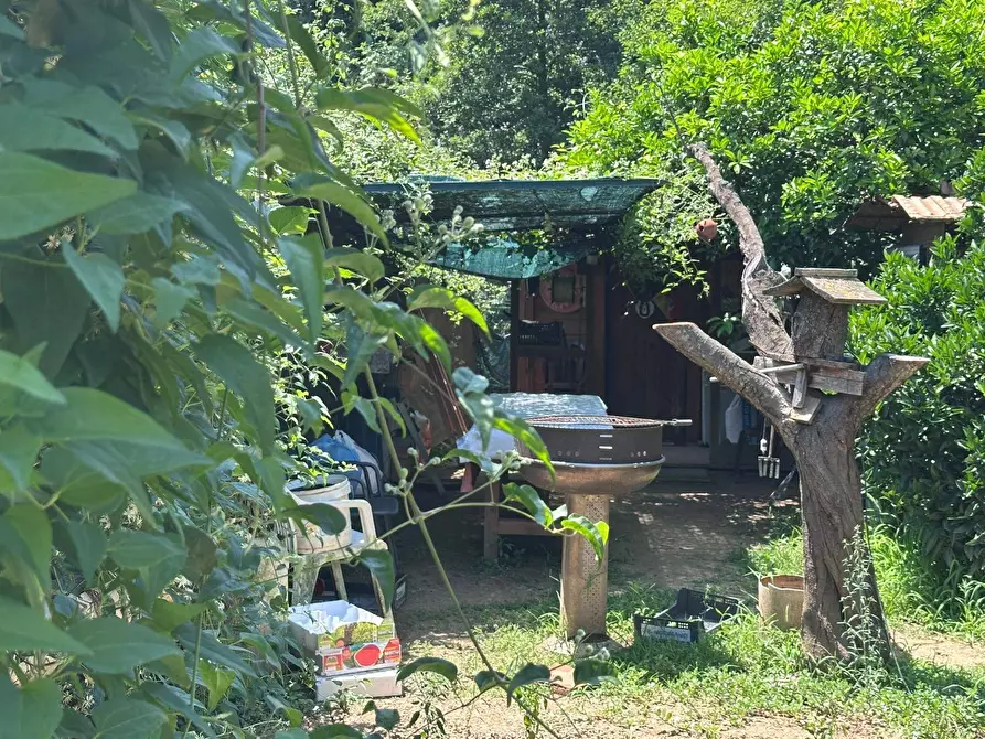 Immagine 12 di Terreno agricolo in vendita  a Quiliano