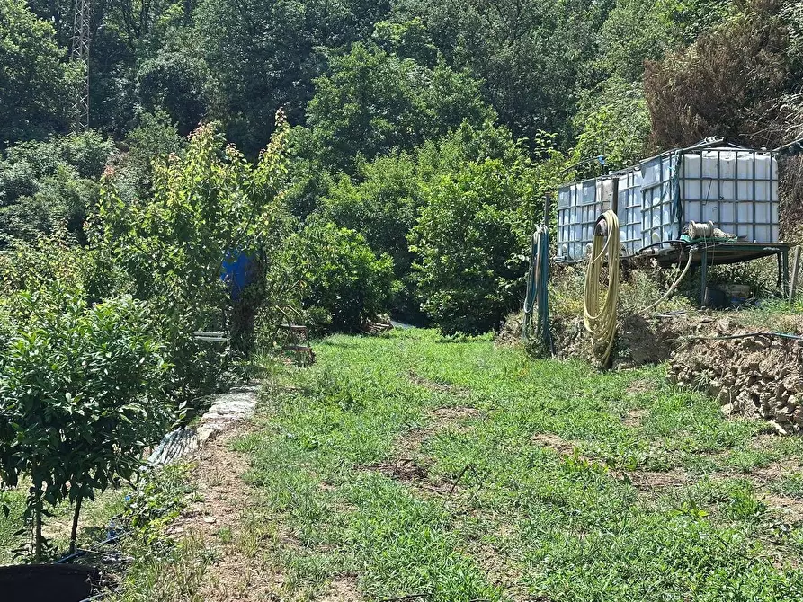 Immagine 13 di Terreno agricolo in vendita  a Quiliano