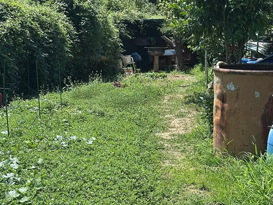Immagine 14 di Terreno agricolo in vendita  a Quiliano