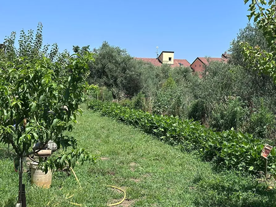 Immagine 15 di Terreno agricolo in vendita  a Quiliano