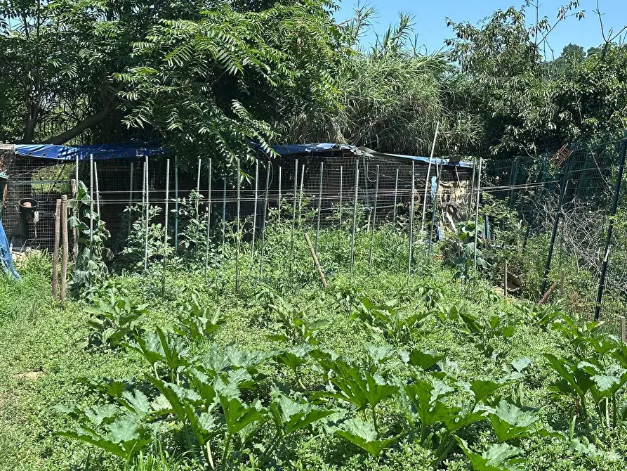 Immagine 16 di Terreno agricolo in vendita  a Quiliano