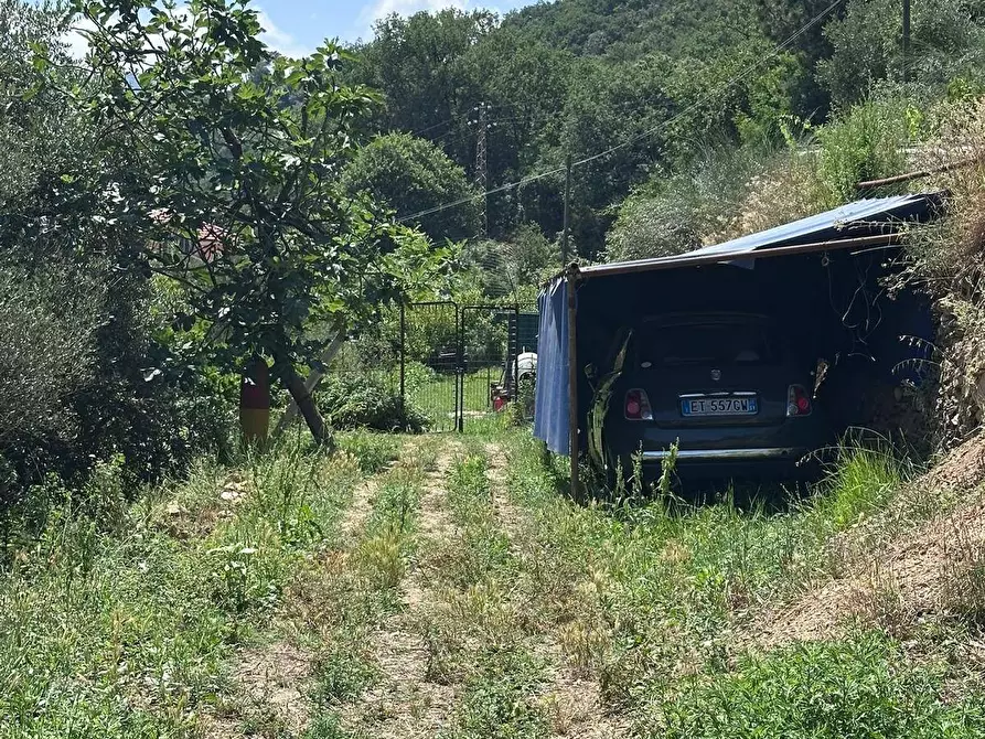 Immagine 17 di Terreno agricolo in vendita  a Quiliano
