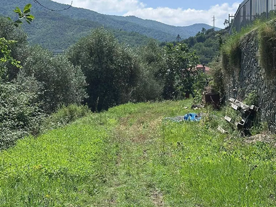 Immagine 18 di Terreno agricolo in vendita  a Quiliano