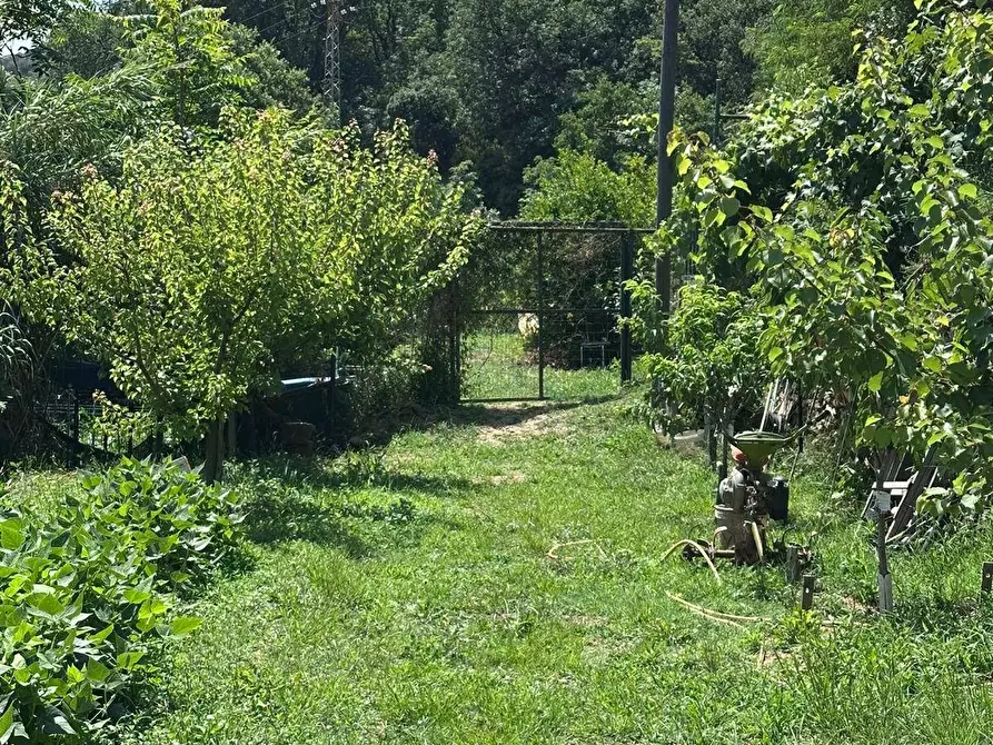 Immagine 19 di Terreno agricolo in vendita  a Quiliano