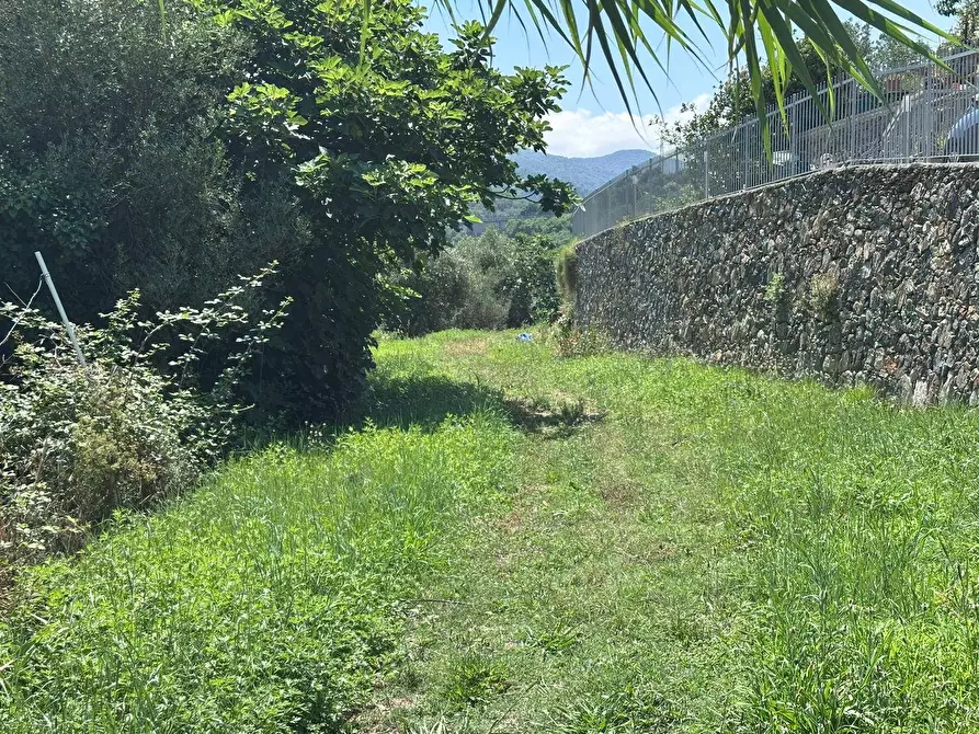 Immagine 21 di Terreno agricolo in vendita  a Quiliano