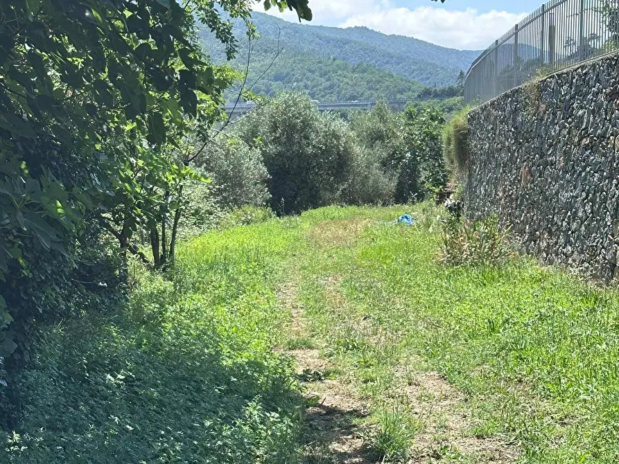 Immagine 22 di Terreno agricolo in vendita  a Quiliano