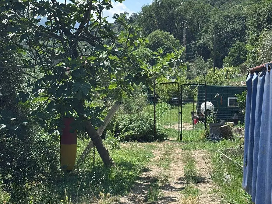Immagine 23 di Terreno agricolo in vendita  a Quiliano