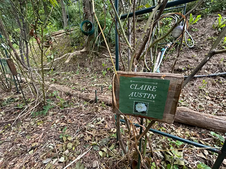 Immagine 9 di Terreno agricolo in vendita  a Quiliano