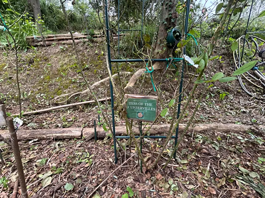 Immagine 14 di Terreno agricolo in vendita  a Quiliano