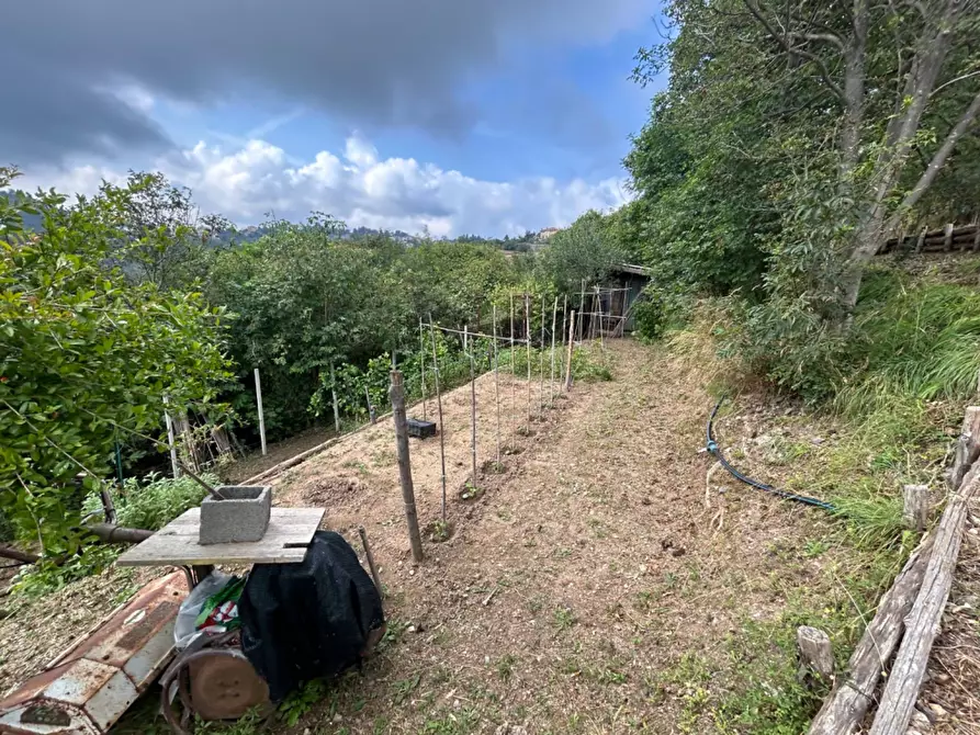 Immagine 25 di Terreno agricolo in vendita  a Quiliano