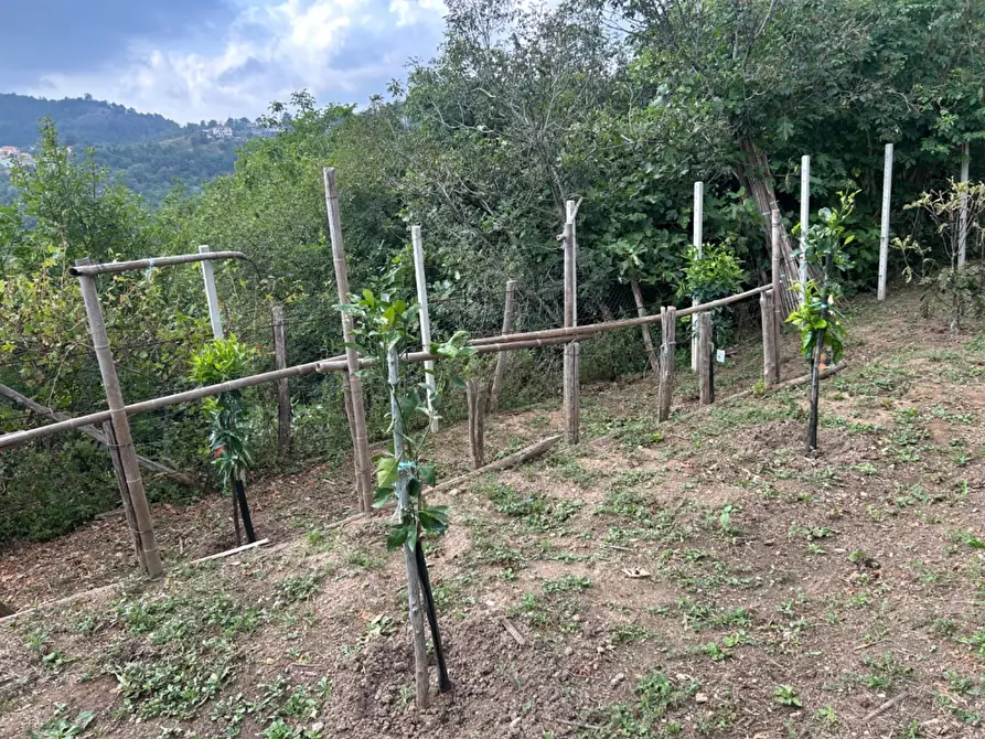 Immagine 31 di Terreno agricolo in vendita  a Quiliano