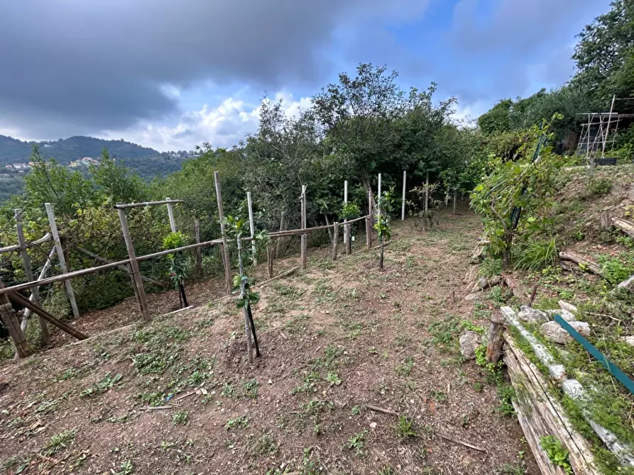 Immagine 34 di Terreno agricolo in vendita  a Quiliano