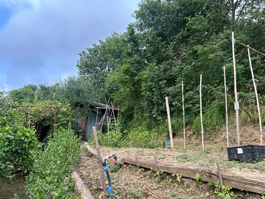 Immagine 40 di Terreno agricolo in vendita  a Quiliano