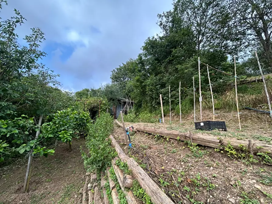 Immagine 42 di Terreno agricolo in vendita  a Quiliano