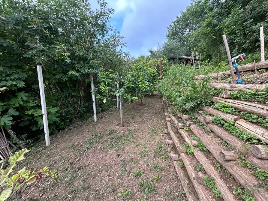 Immagine 44 di Terreno agricolo in vendita  a Quiliano