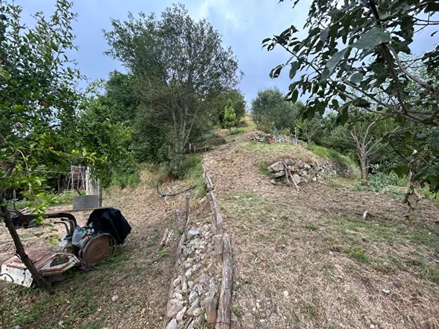 Immagine 48 di Terreno agricolo in vendita  a Quiliano