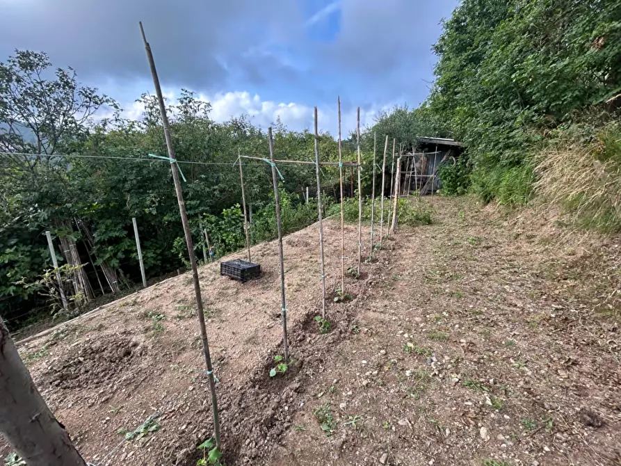Immagine 50 di Terreno agricolo in vendita  a Quiliano