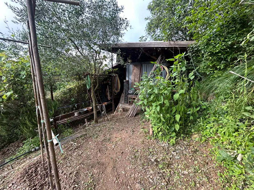 Immagine 52 di Terreno agricolo in vendita  a Quiliano