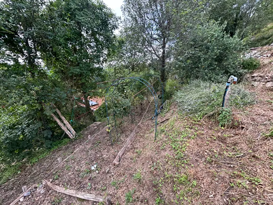 Immagine 59 di Terreno agricolo in vendita  a Quiliano