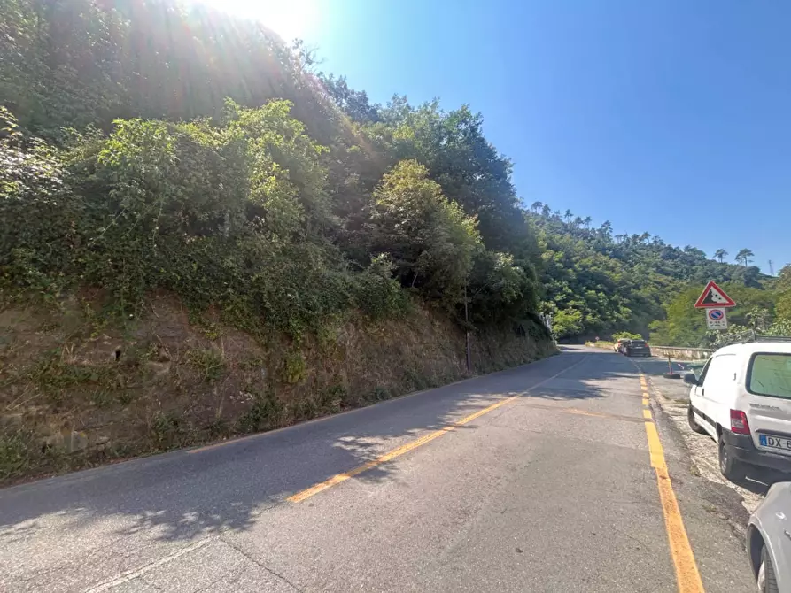 Immagine 11 di Appartamento in vendita  in Via Santuario a Savona