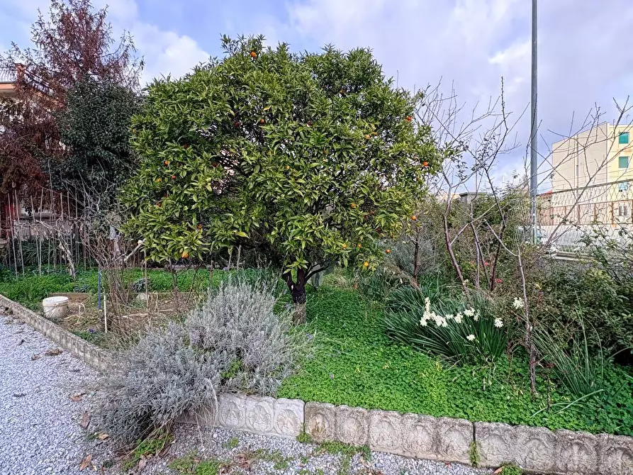 Immagine 4 di Appartamento in vendita  in Via Barba a Savona