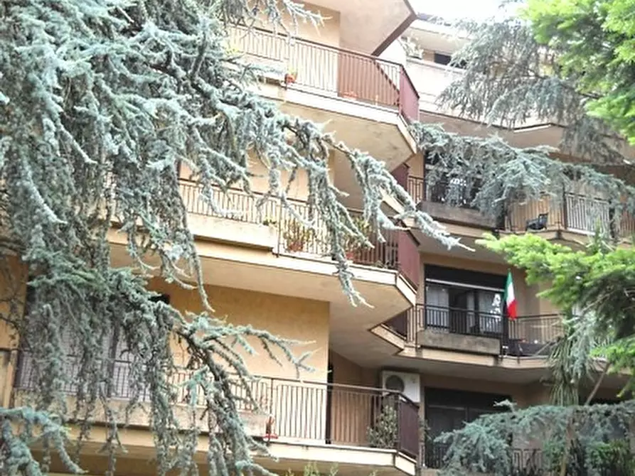 Immagine 16 di Appartamento in vendita  in VIA CAPPUCCINI PARCO L 16 a Caserta