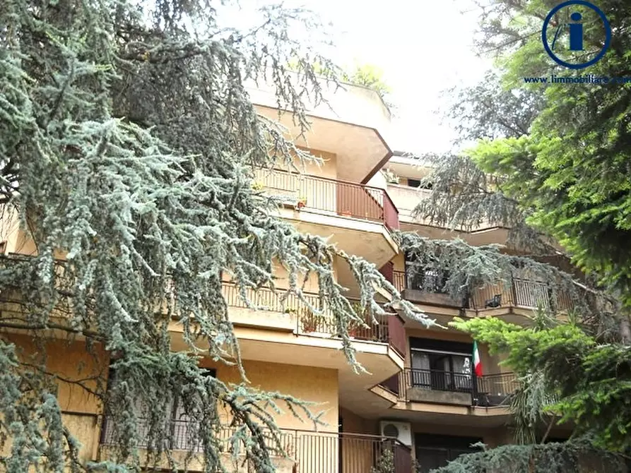 Immagine 17 di Appartamento in vendita  in VIA CAPPUCCINI PARCO L 16 a Caserta