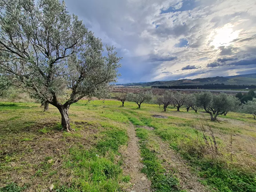 Immagine 1 di Terreno agricolo in vendita  in Viale Europa snc a Catanzaro