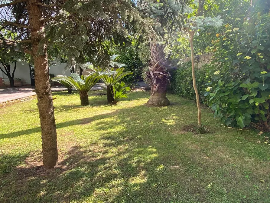 Immagine 64 di Villa in vendita  in Via Donizetti 14 a Capodrise