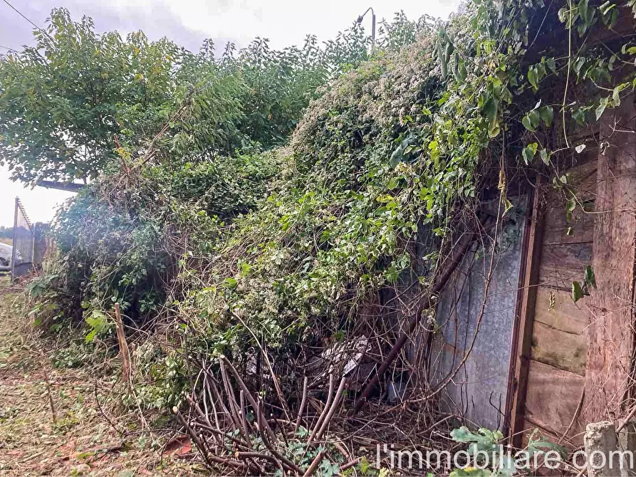 Immagine 8 di Rustico / casale in vendita  in Via San Giovanni 34 a Povegliano Veronese