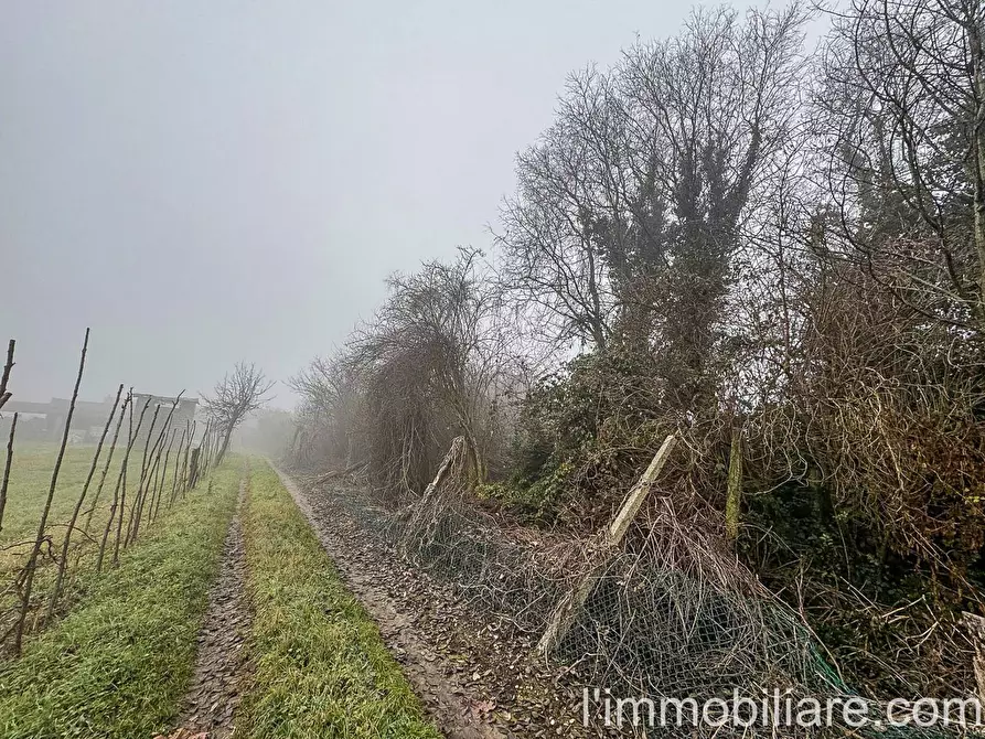 Immagine 11 di Rustico / casale in vendita  in Via San Giovanni 34 a Povegliano Veronese