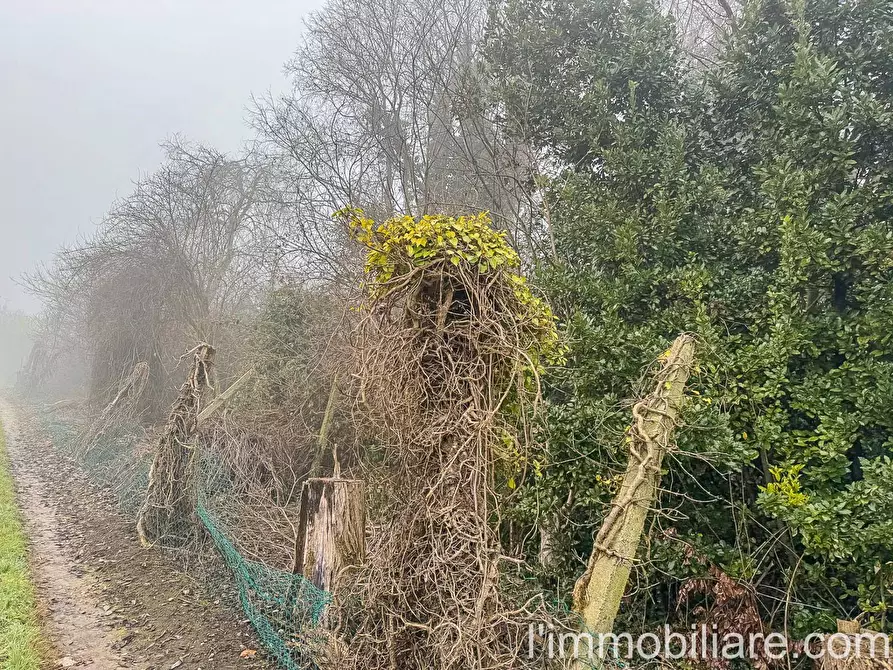 Immagine 12 di Rustico / casale in vendita  in Via San Giovanni 34 a Povegliano Veronese
