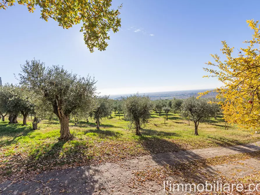 Immagine 6 di Rustico / casale in vendita  in via Pradelle 60 a Verona