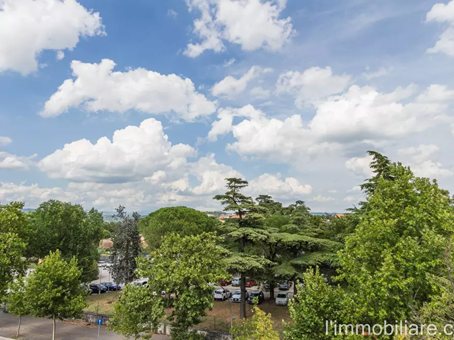 Immagine 19 di Appartamento in vendita  in Viale Colonnello Galliano 19 a Verona