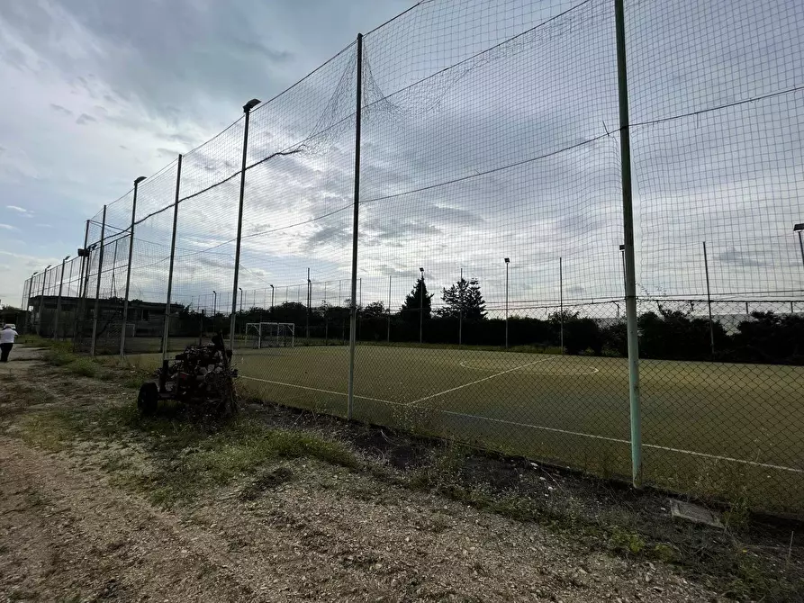Immagine 3 di Terreno agricolo in vendita  in Via Lima a Maddaloni