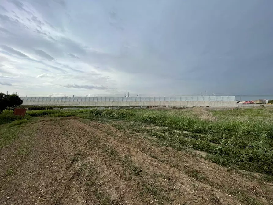 Immagine 12 di Terreno agricolo in vendita  in Via Lima a Maddaloni