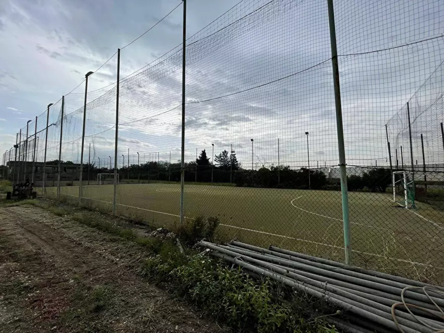 Immagine 2 di Terreno agricolo in vendita  in Via Lima a Maddaloni