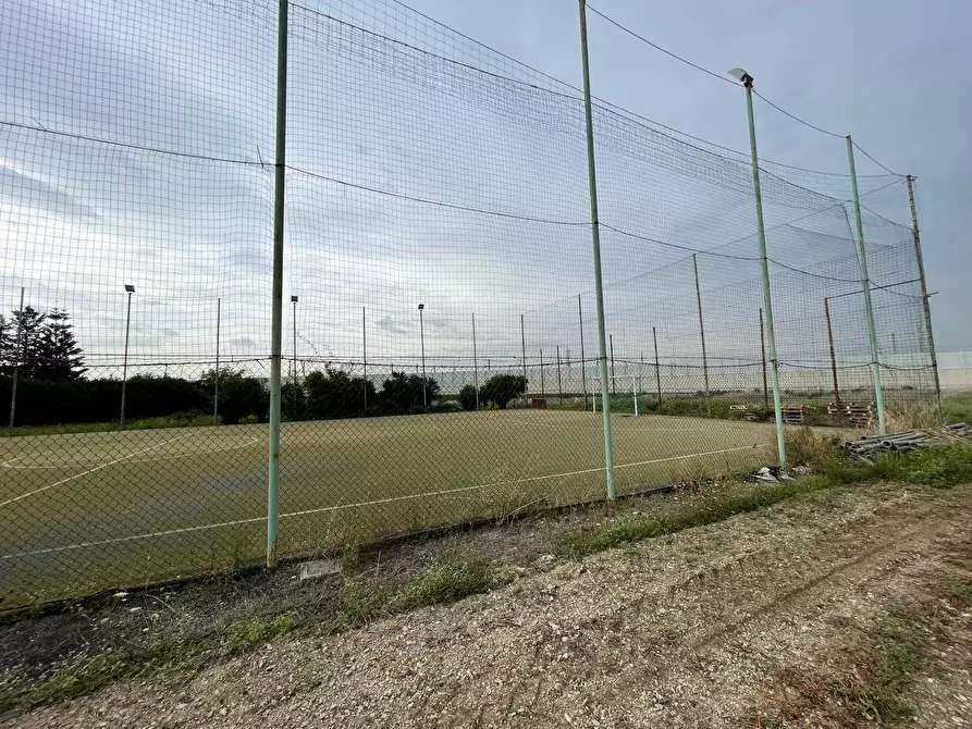 Immagine 13 di Terreno agricolo in vendita  in Via Lima a Maddaloni