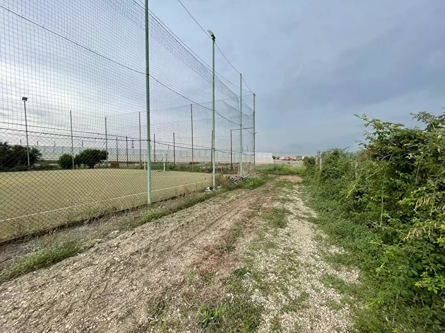 Immagine 14 di Terreno agricolo in vendita  in Via Lima a Maddaloni