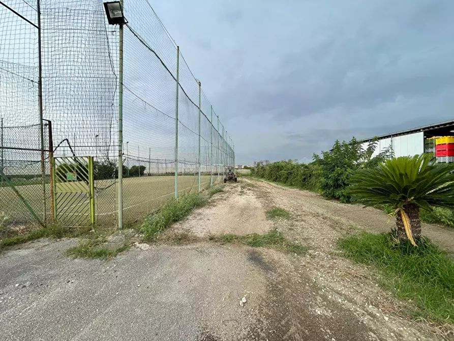 Immagine 16 di Terreno agricolo in vendita  in Via Lima a Maddaloni
