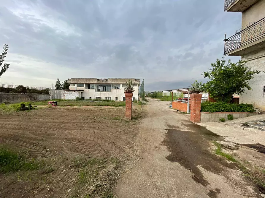 Immagine 35 di Terreno agricolo in vendita  in Via Lima a Maddaloni