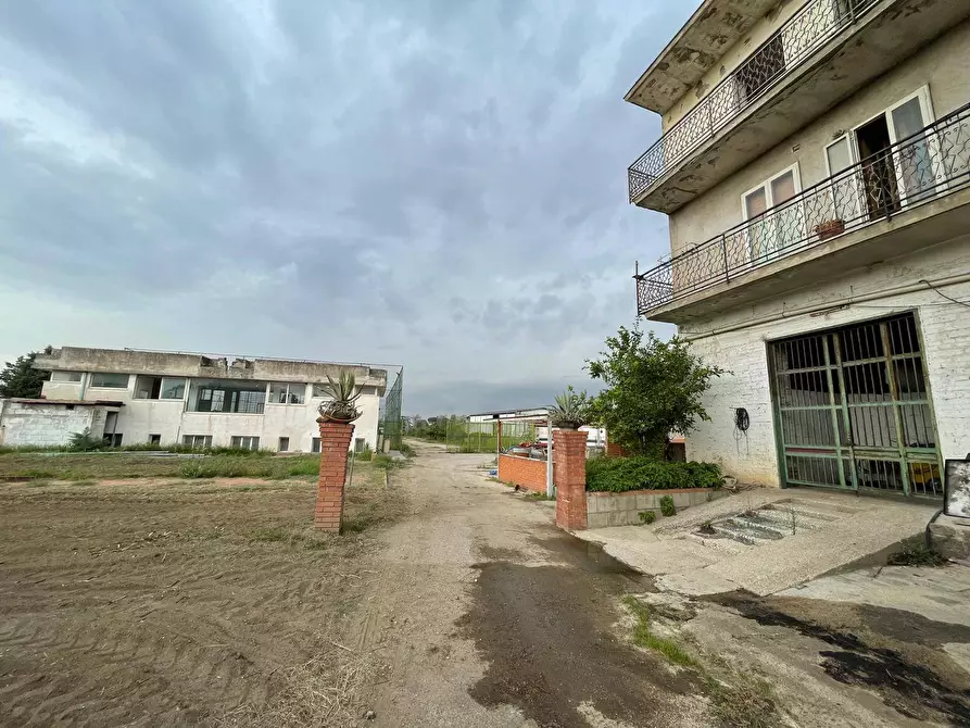Immagine 36 di Terreno agricolo in vendita  in Via Lima a Maddaloni