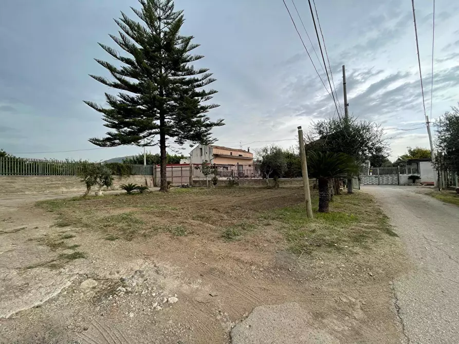 Immagine 39 di Terreno agricolo in vendita  in Via Lima a Maddaloni