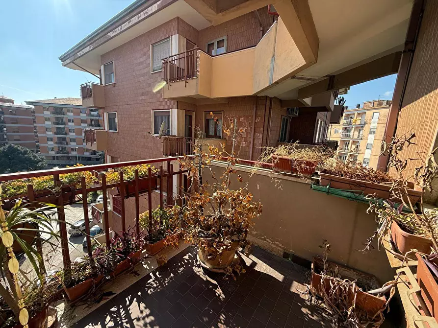 Immagine 30 di Appartamento in vendita  in Via Lupoli 3 a Caserta