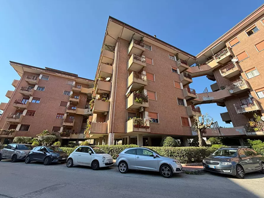 Immagine 61 di Appartamento in vendita  in Via Lupoli 3 a Caserta