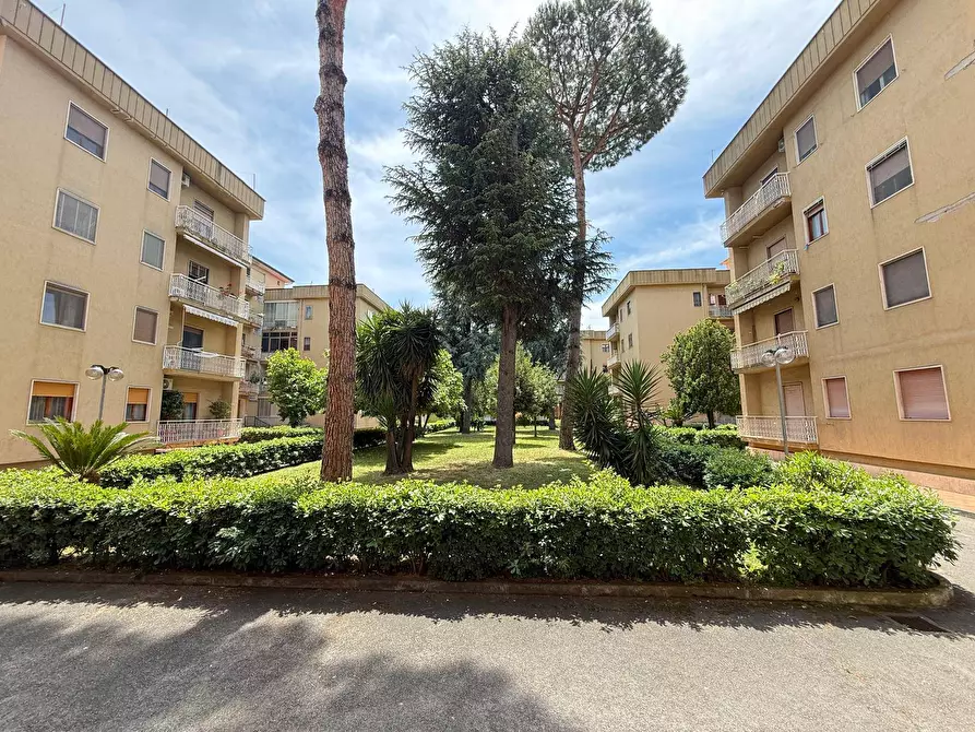Immagine 2 di Appartamento in vendita  in Via Ferrarecce 197 a Caserta