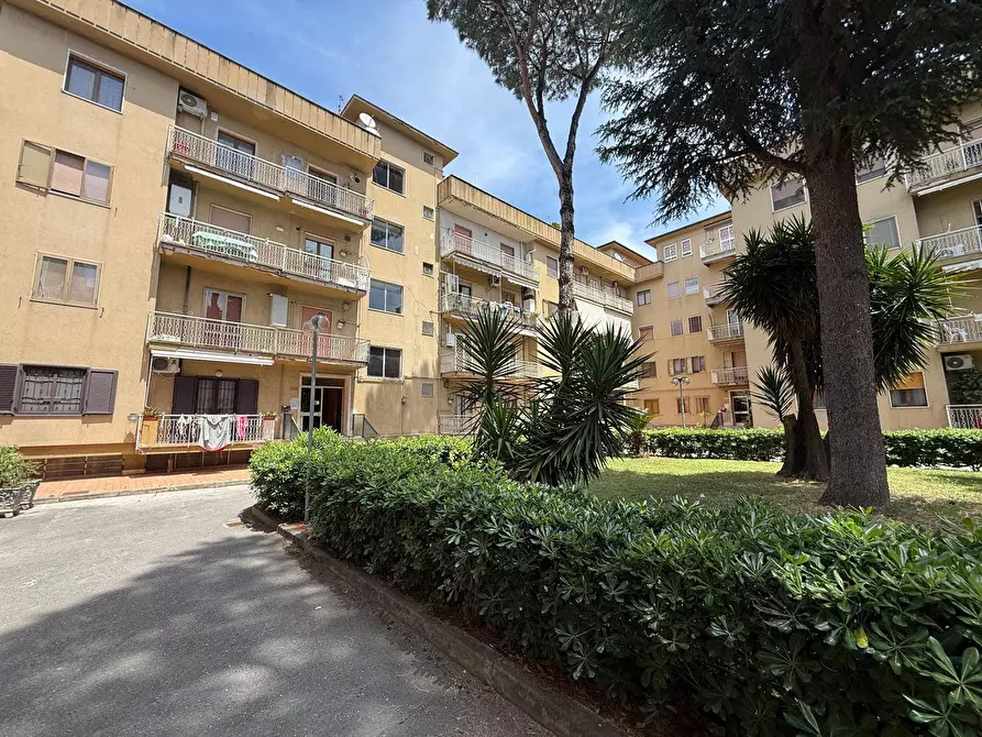 Immagine 44 di Appartamento in vendita  in Via Ferrarecce 197 a Caserta