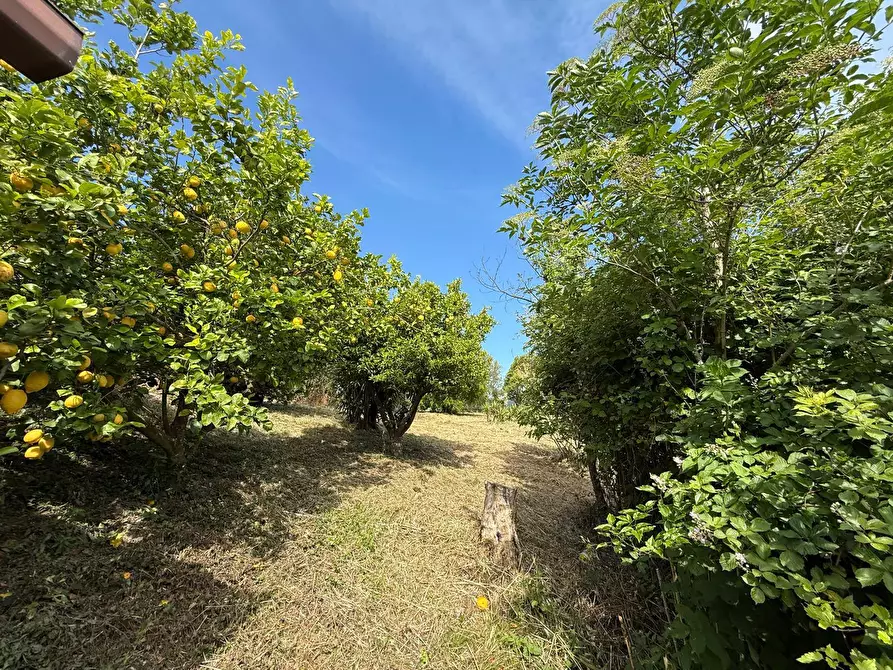Immagine 3 di Villa in vendita  in Strada  Provinciale  Santa Lucia Montegarofalo 6 a Caiazzo
