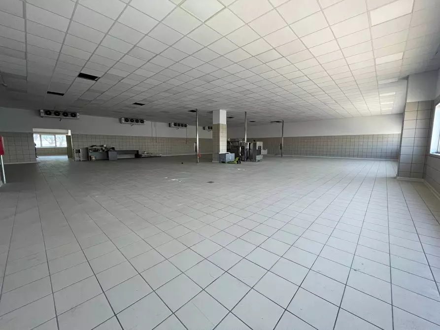 Immagine 5 di Ufficio in affitto  in Via Napoli 500 a Maddaloni