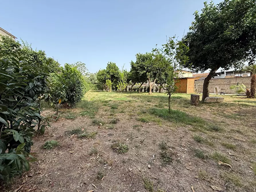 Immagine 23 di Casa indipendente in affitto  in Via Politano 4 a Caserta